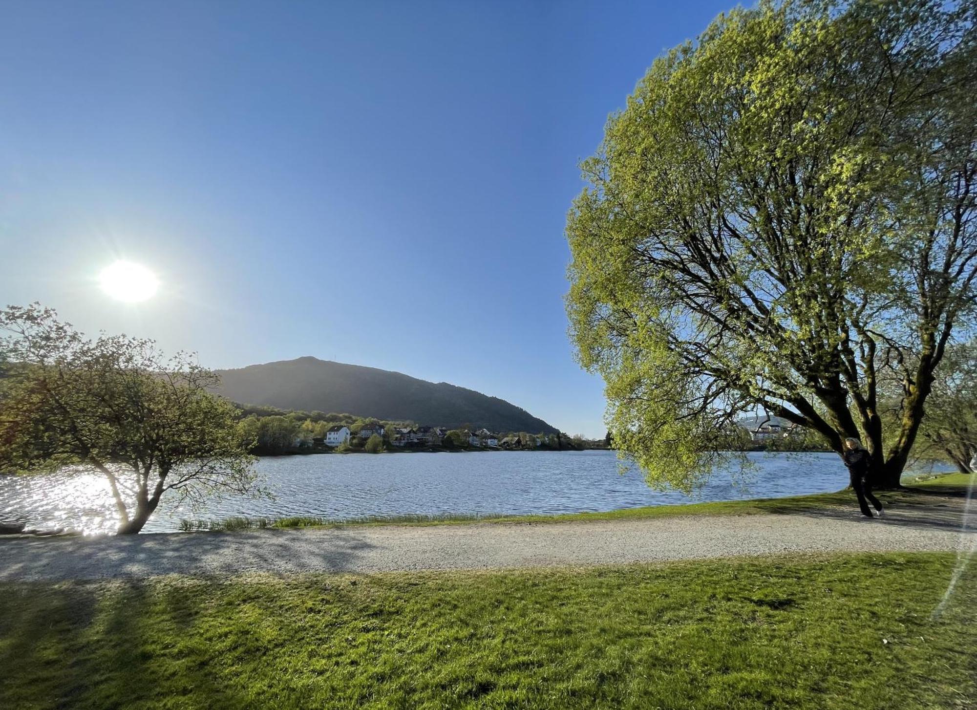3 Sleeping Rooms For 82M2 Which Direct Traffic To Airport And City Center Bergen Exterior photo
